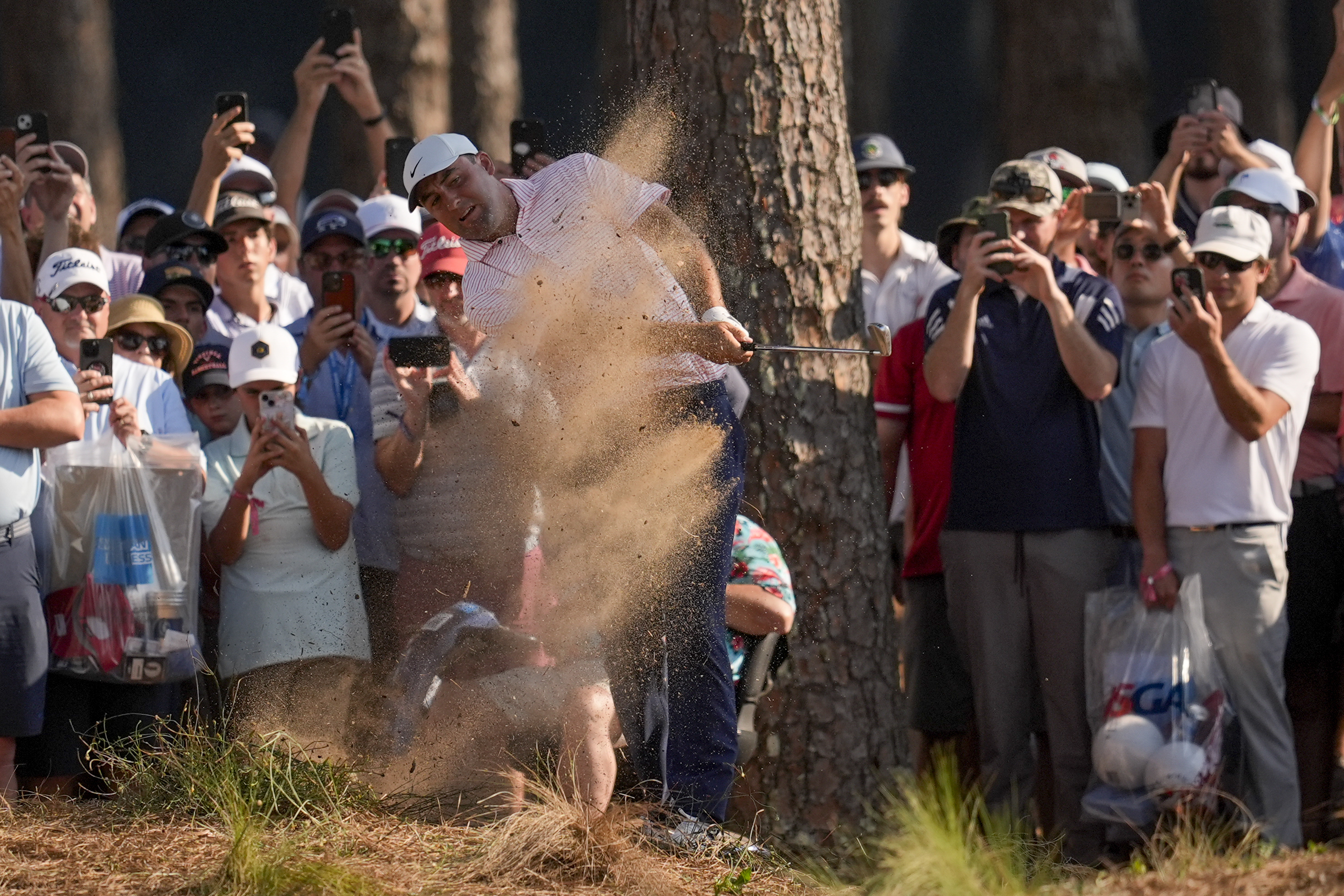 Scottie Scheffler hits from the pine straw on the 15th hole during the first round of the U.S. Open golf tournament Thursday, June 13, 2024, in Pinehurst, N.C. 