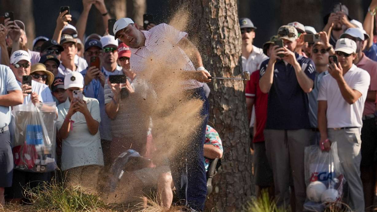 Scottie Scheffler hits from the pine straw on the 15th hole during the first round of the U.S. Open golf tournament Thursday, June 13, 2024, in Pinehurst, N.C.