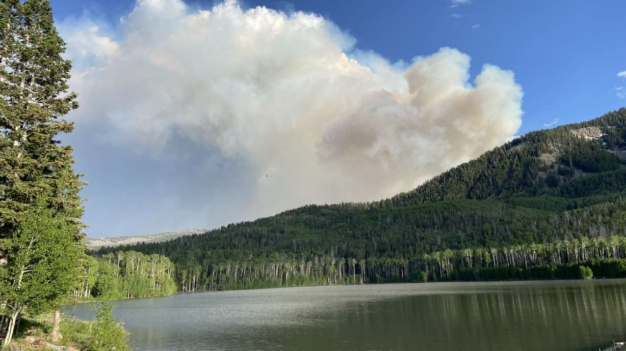 The Little Twist wildfire grew to 2,250 acres on Sunday, according to a news release from the Central Utah Fire Interagency.