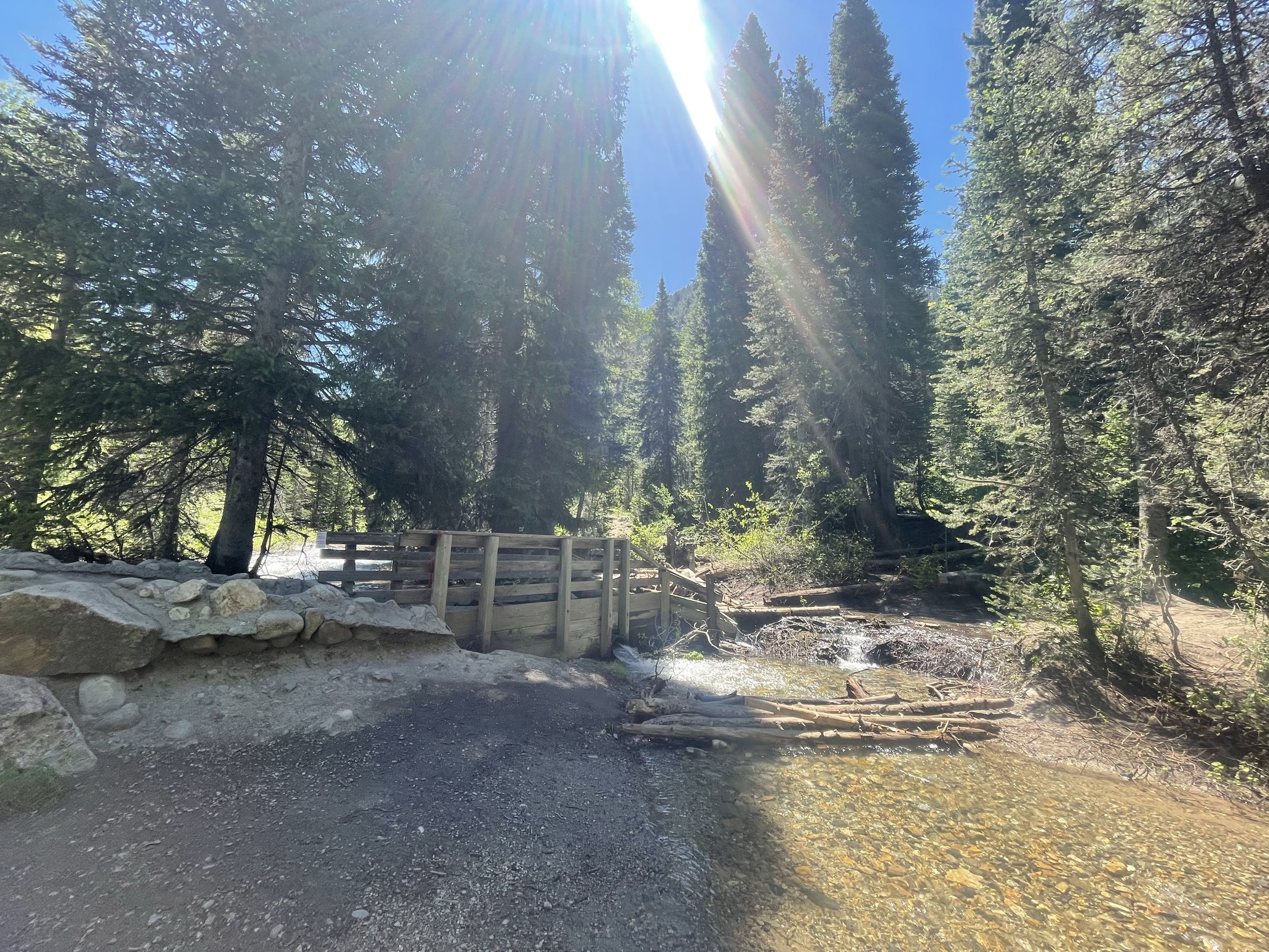 Part of the White Pine Trail Bridge was washed out by the high and strong runoff. The U.S. Forest Service Uinta-Wasatch-Cache National Forest Salt Lake Ranger District closed the bridge June 14.