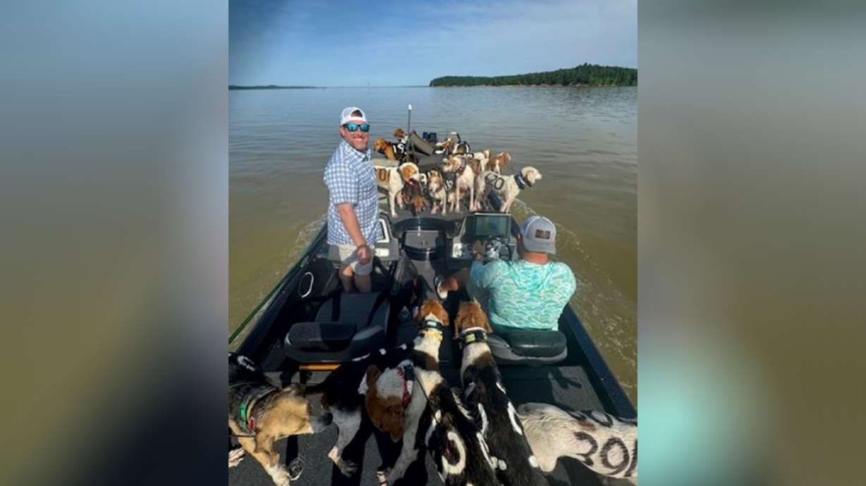 Fisherman Brad Carlisle, left, and fishing guide Jordan Chrestman bring one of three boatloads of dogs back to shore after they were found struggling to stay above water far out in Mississippi's Grenada Lake.