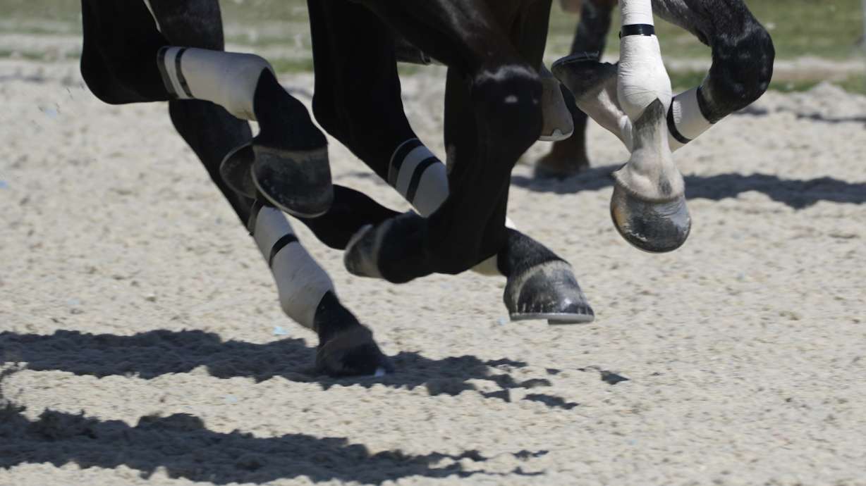 FILE - Horses run on the new synthetic track surface as they race at Gulfstream Park, Thursday, Sept. 30, 2021, in Hallandale Beach, Fla. Winter racing at Belmont Park when the track reopens in 2026 will be exclusively run on synthetic tracks. The New York Racing Association announced that move Monday, July 1, 2024.