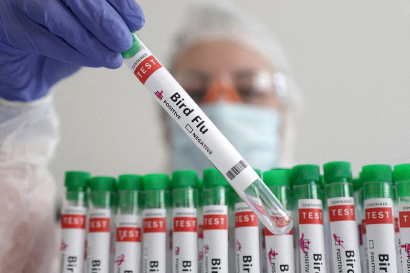 Public health officials in Colorado on Wednesday announced an adult man had tested positive for avian flu after reporting mild symptoms, including conjunctivitis, or pink eye.