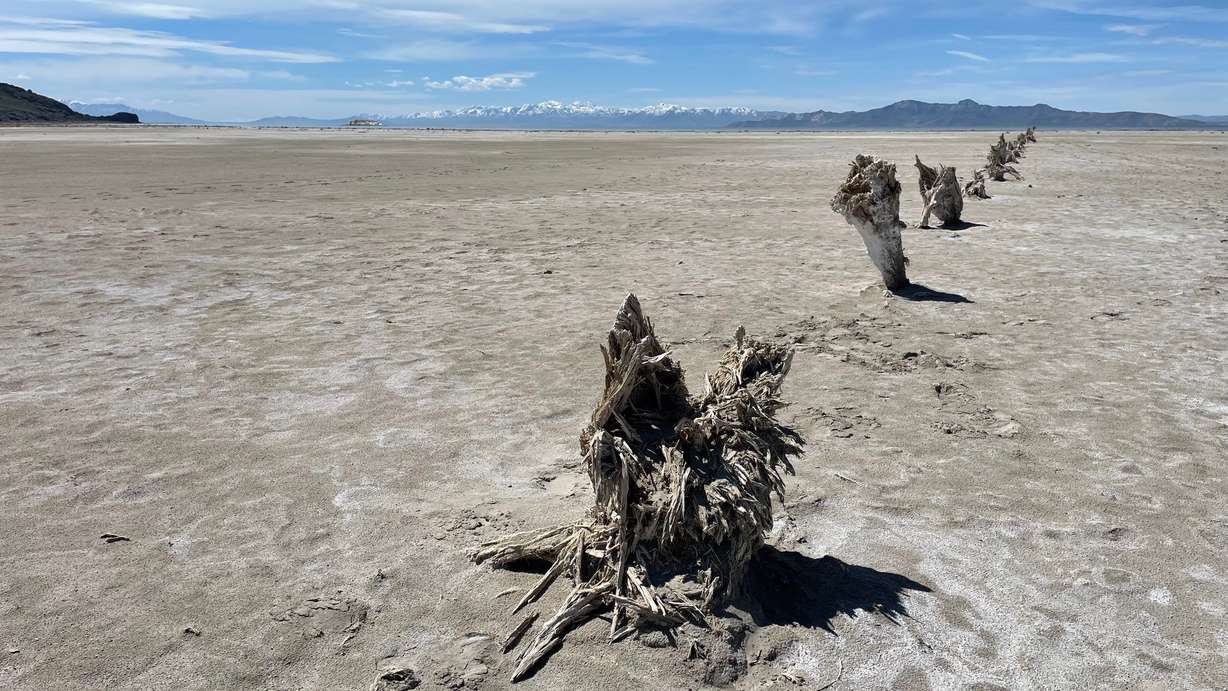 The bed of the Great Salt Lake near Antelope Island on April 20.