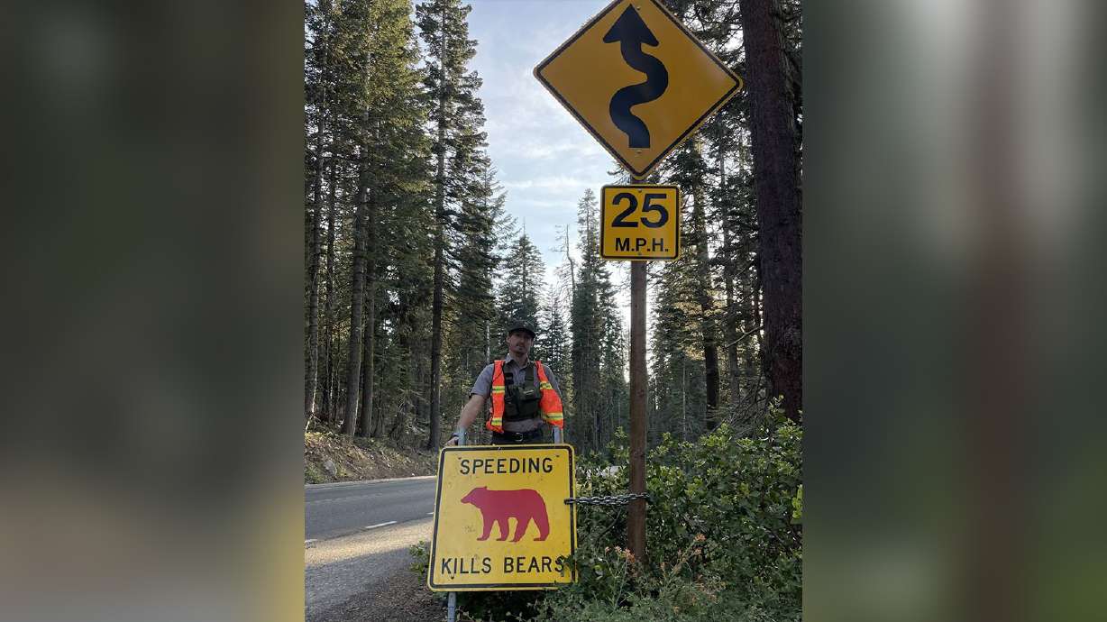 A Yosemite National Park ranger stands behind a "Speeding Kills Bears" sign within the California national park. Park officials said Thursday that there has been five bear collisions already this year.