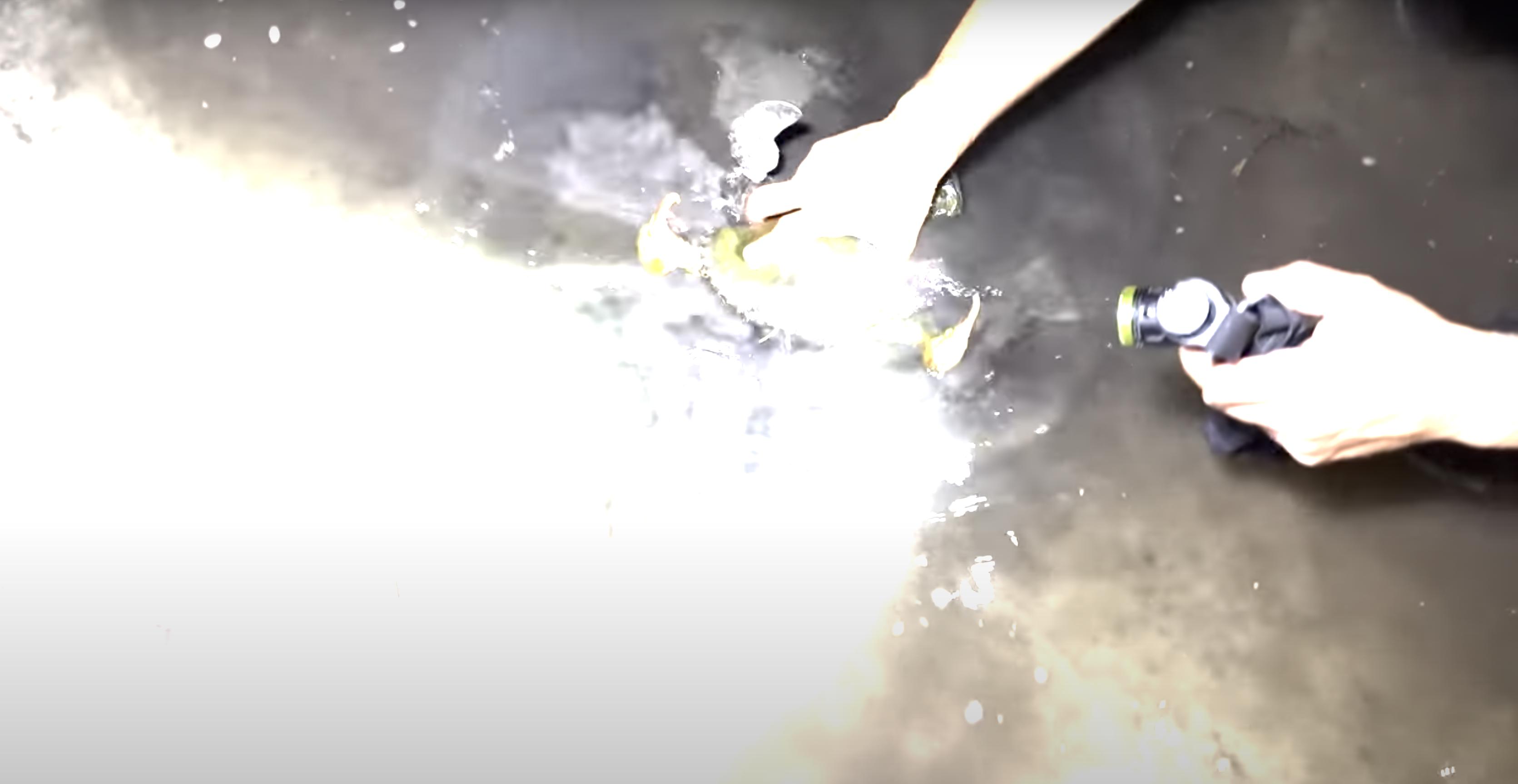 This poor guy was so focused on the first crab that he had no idea a smaller, more stealthy crab was lurking in the mud.