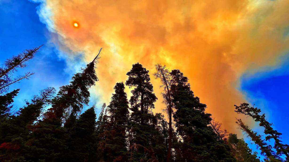 Fire officials say the Silver King Fire, burning about 8 miles west of Marysvale in Piute County, ignited Friday evening. By Saturday morning it had grown to 1,100 acres.
