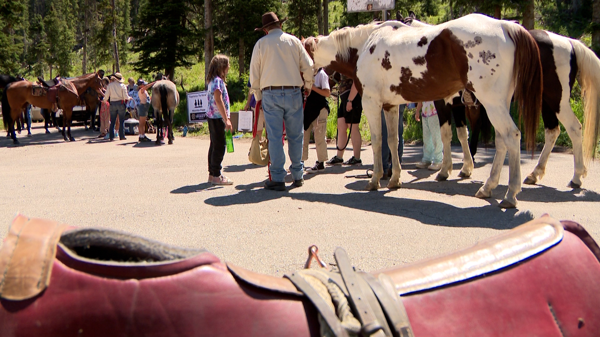 Campers mingle with the Salt Lake County Sheriff’s Office horses at Camp Hope on Monday.