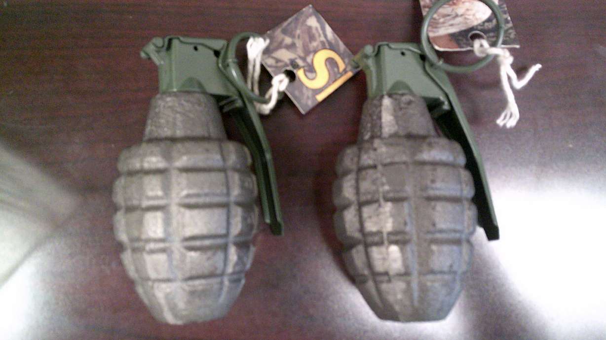 Operations at Hawaii’s Hilo International Airport were halted when security screeners spotted two items that looked like grenades in a bag belonging to a man from Japan, Tuesday.