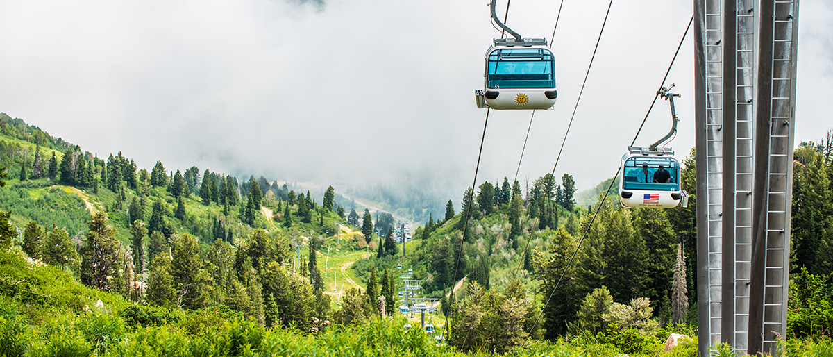 Beat the heat with your dog at Snowbasin this summer