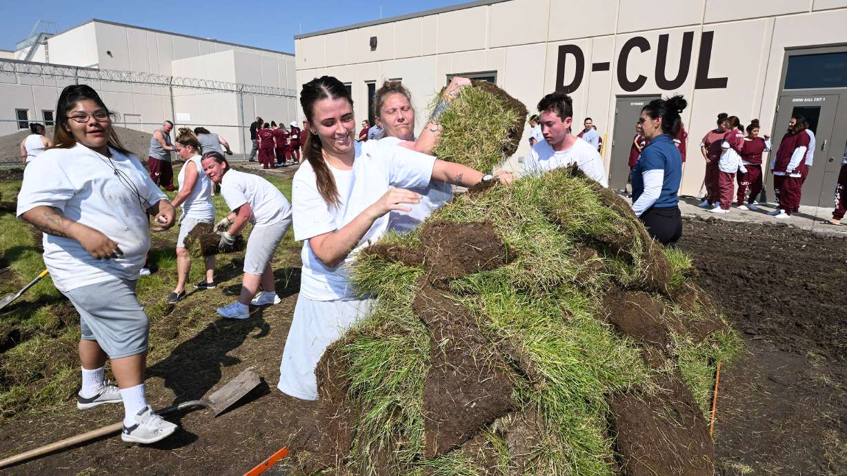Female inmates place sod on a small cart as they work to clear an area at the Utah State Prison Friday. The space is going to be turned into a garden.