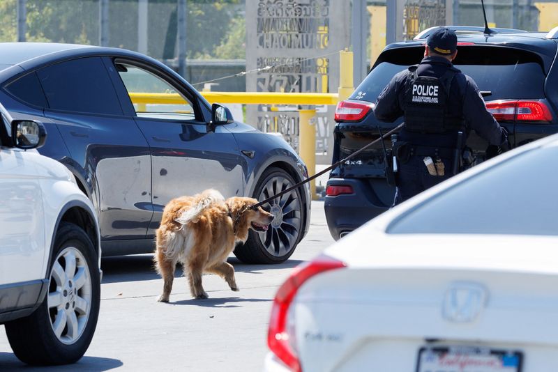 Customs and border protection officer Joseph Arcia and his partner Goose, a 6-year-old golden retriever, patrol incoming traffic to the United States from Mexico as they work along the San Ysidro border in San Diego, Calif., May 29.