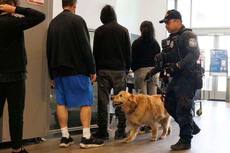 Customs and border protection officer Joseph Arcia and his partner Goose, a 6-year-old golden retriever, patrol incoming traffic to the United States from Mexico as they work along the San Ysidro border in San Diego, Calif., May 29.