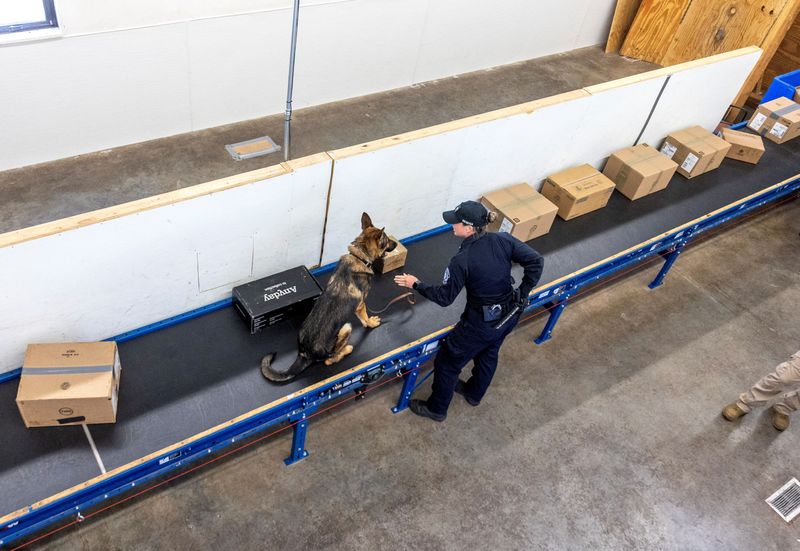 Kristen Ingram, a U.S. Customs and Border Protection officer, trains Soyer to detect narcotics in a simulated mail room, at a government training facility for drug-sniffing dogs who work to combat the transit of fentanyl and other drugs, in Front Royal, Va., June 18.