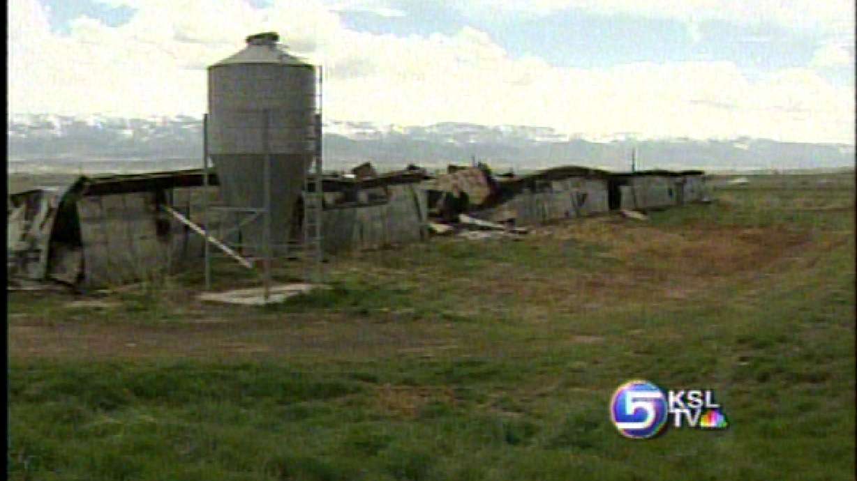 15,000 Turkeys Killed in Fire