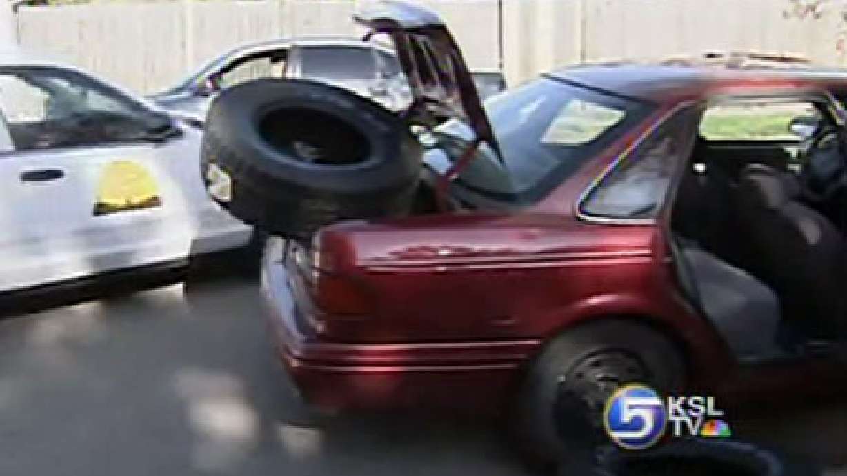 Everyday Citizens Helping "Save the Day"