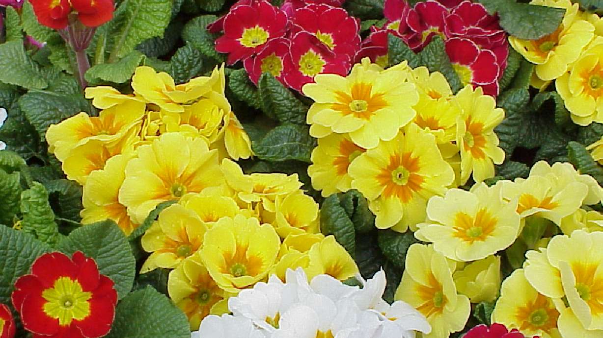 Aaaahhh...Springtime In Utah