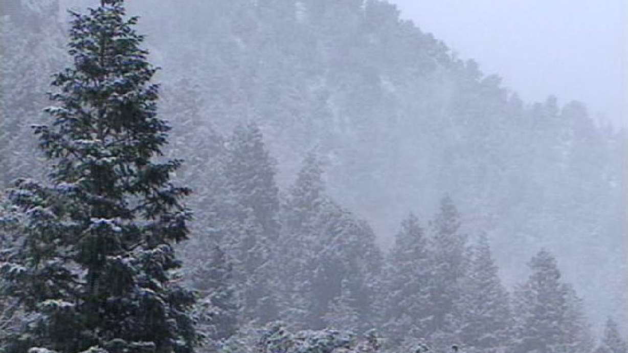 Cold Weather Easing West Nile Concerns