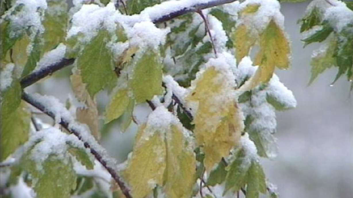 Snow Advisory on Last Day of Summer