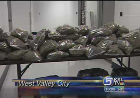 Raids Target Major Marijuana Trafficking Operation