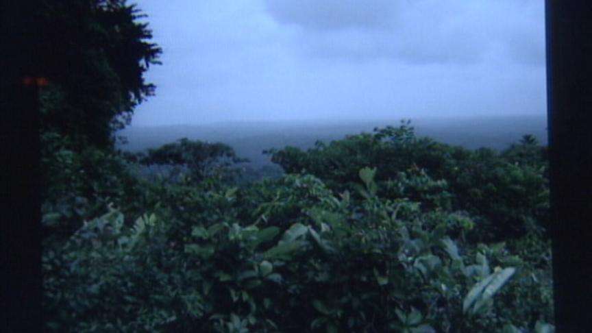 Mormon missionaries found alive and well in Martinique