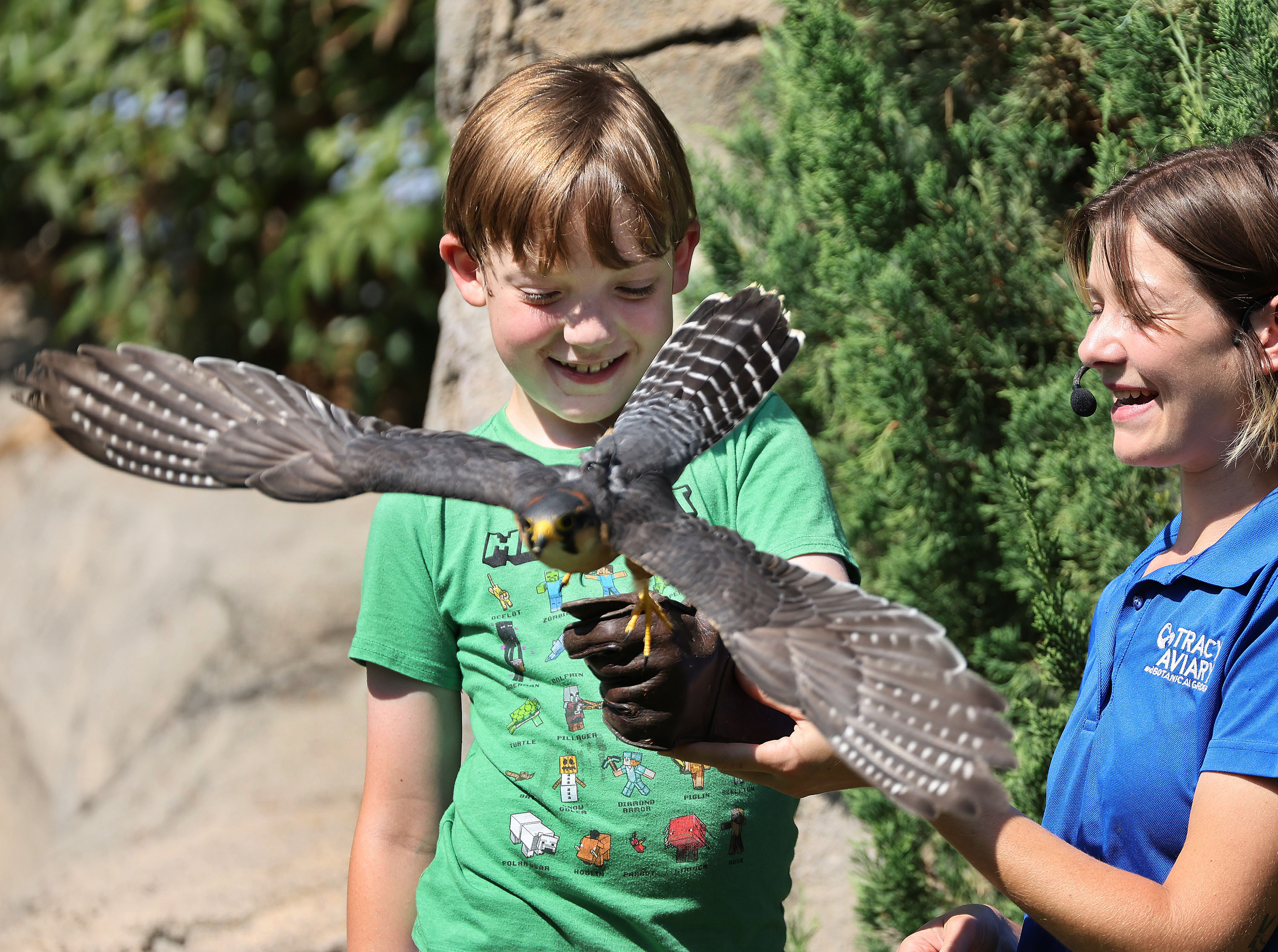 William Gillett watches a falcon fly with Gabi Petty at Tracy Aviary at Liberty Park in Salt Lake City on Wednesday. Analysis from the Kem C. Gardner Policy Institute shows that Salt Lake County collected $36.7 million in ZAP tax revenue in 2023.