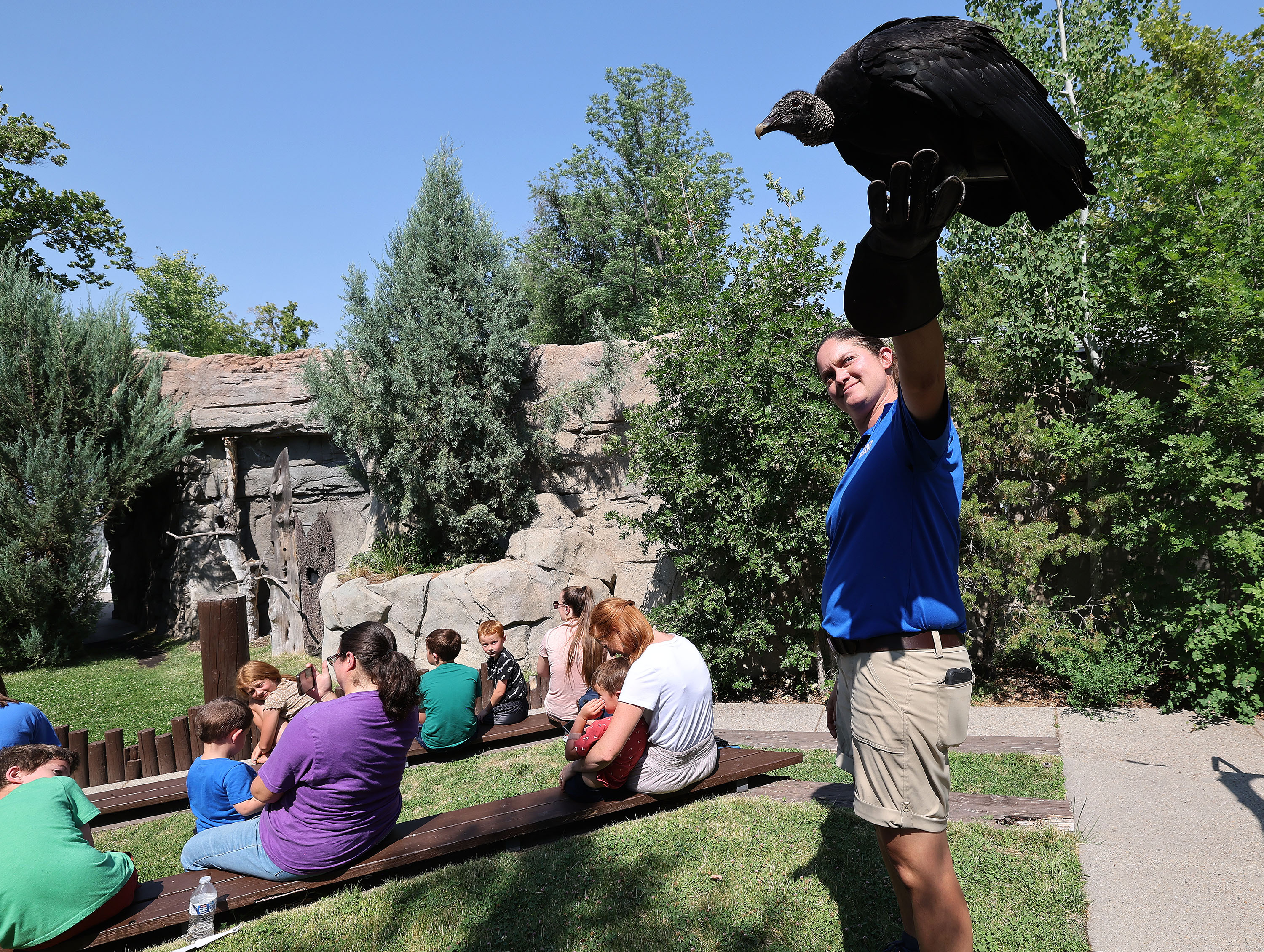 Bird show manager Jackie Kozlowski shows a Black Vulture at Tracy Aviary at Liberty Park in Salt Lake City on Wednesday. A new analysis from the Kem C. Gardner Policy Institute shows that Salt Lake County collected $36.7 million in ZAP tax revenue in fiscal year 2023.