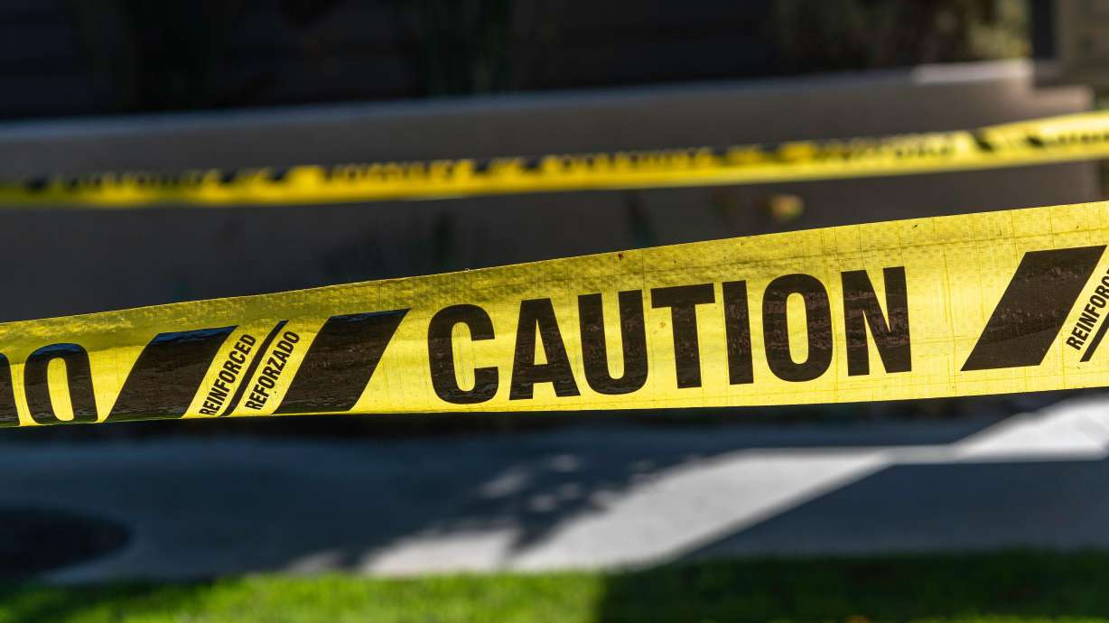 A search was underway Saturday at Porcupine Dam in Cache County following reports of a possible drowning.