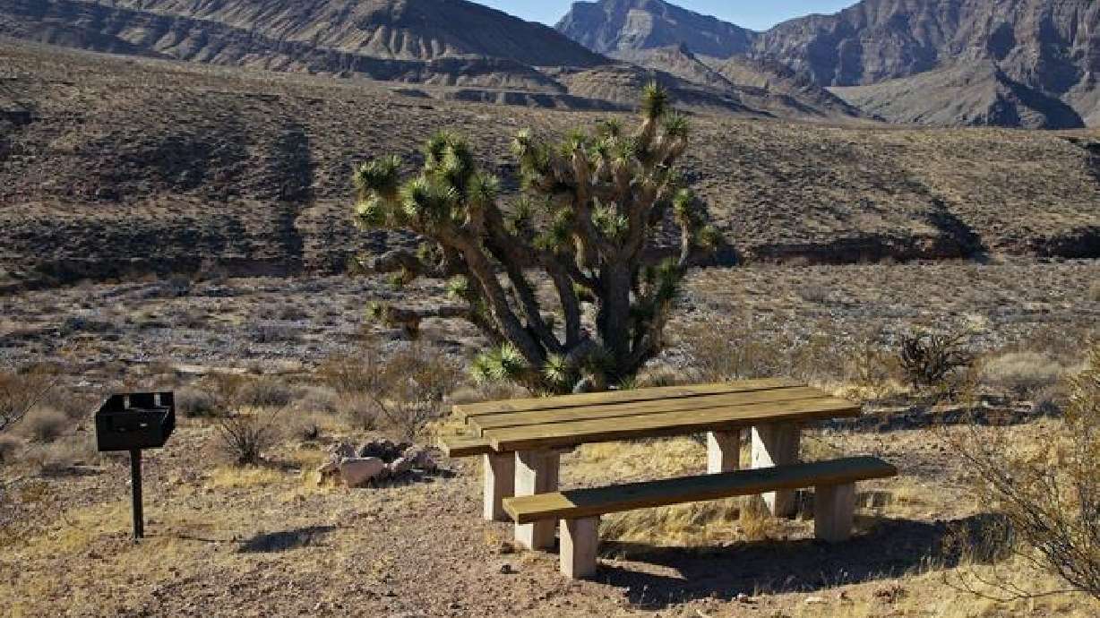 The Virgin River Canyon Recreation Area, Littlefield, Arizona, is shown in this undated photo. Bureau of Land Management has been gathering public input to determine whether a change to user fees is warranted.