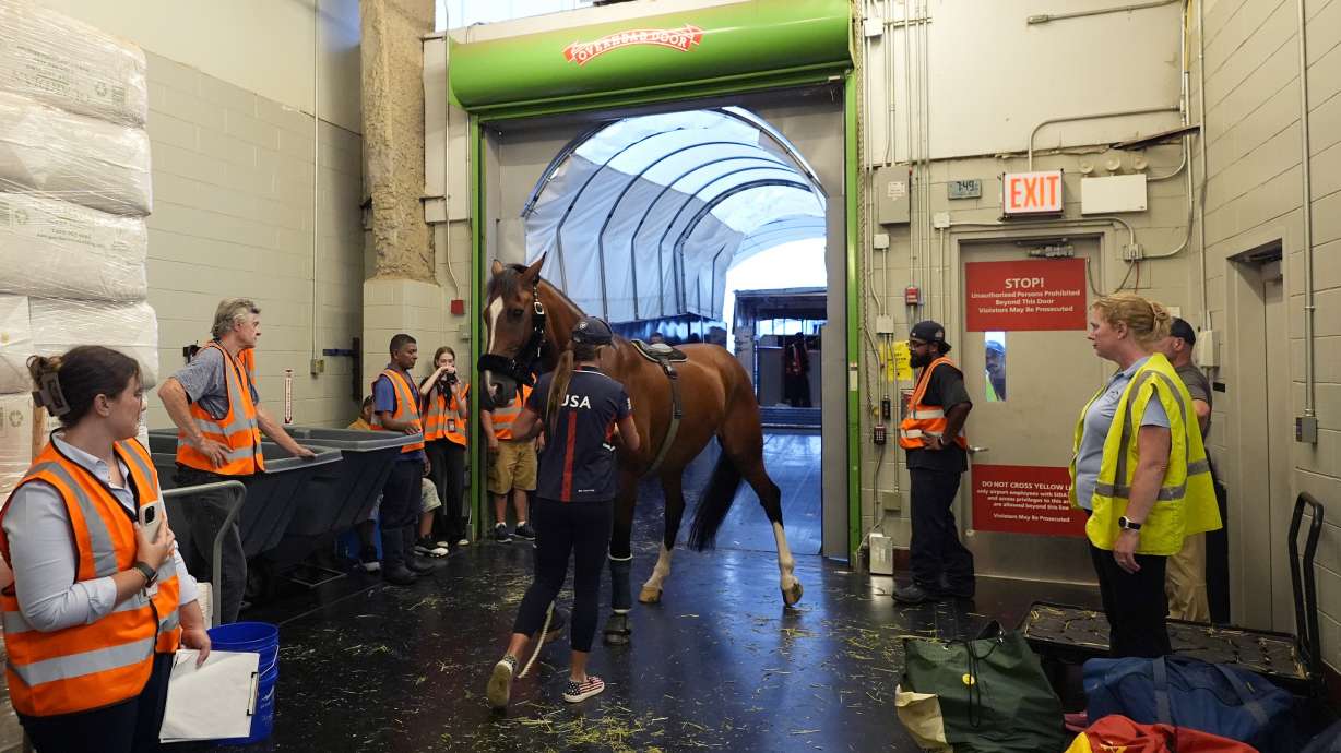 Hailey Burlock, groom for U.S. Olympic Eventing Team member Will Coleman, guides Off The Record to a cargo stall at The Ark at John F. Kennedy International Airport in New York, Wednesday, July 17, 2024.