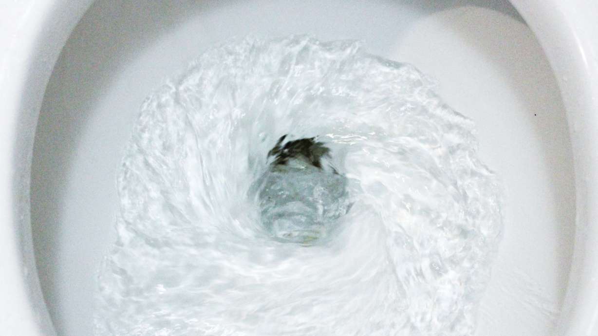 A toilet bowl is flushed. There are health benefits associated with one to two bowel movements a day, which researchers at the Institute for Systems Biology deem the “Goldilocks” zone.