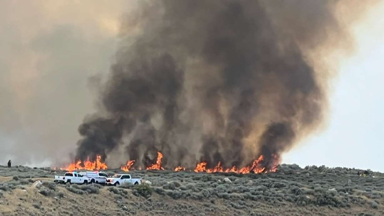 Officials shut down Antelope Island State Park on Tuesday afternoon due to a grass fire.