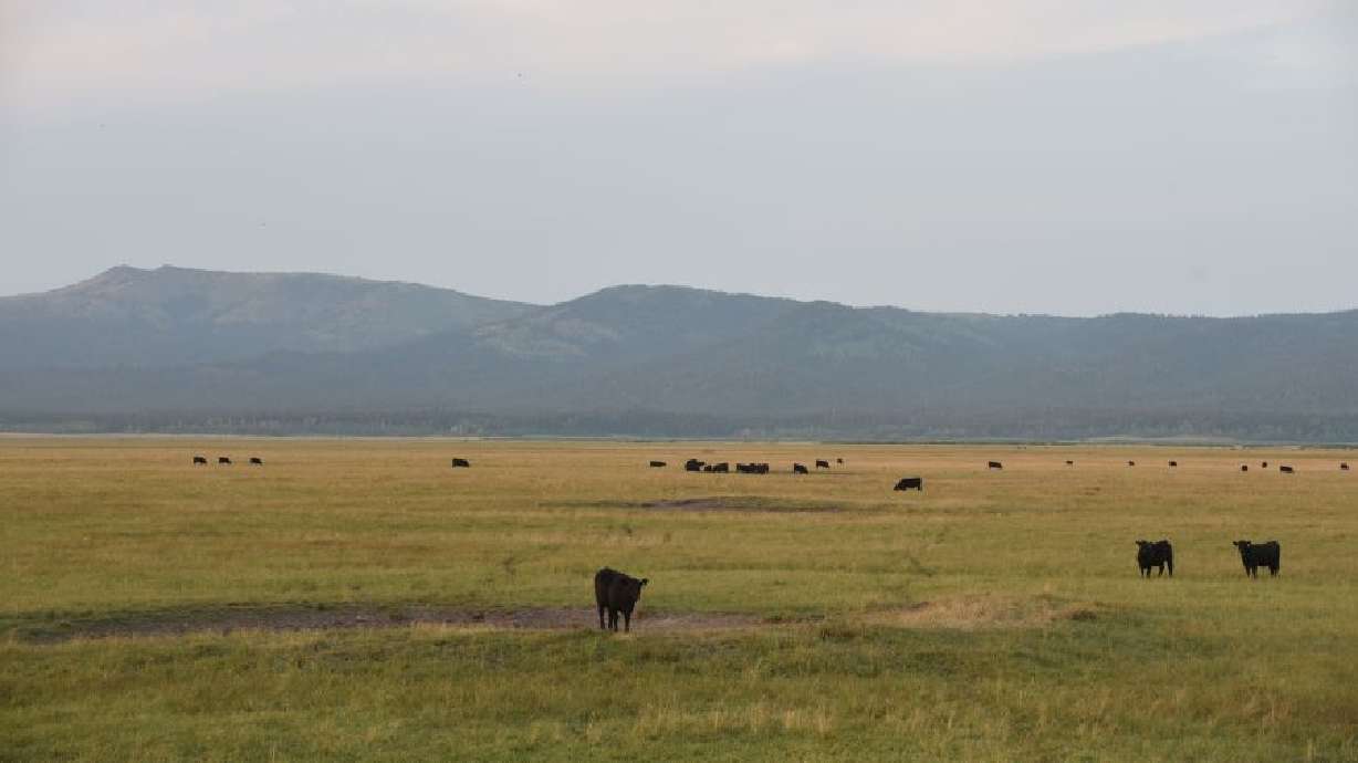 The proposed site of a 431-acre air park on the Henry’s Lake Flats near Island Park, Idaho. Two separate proposals are stirring controversy.