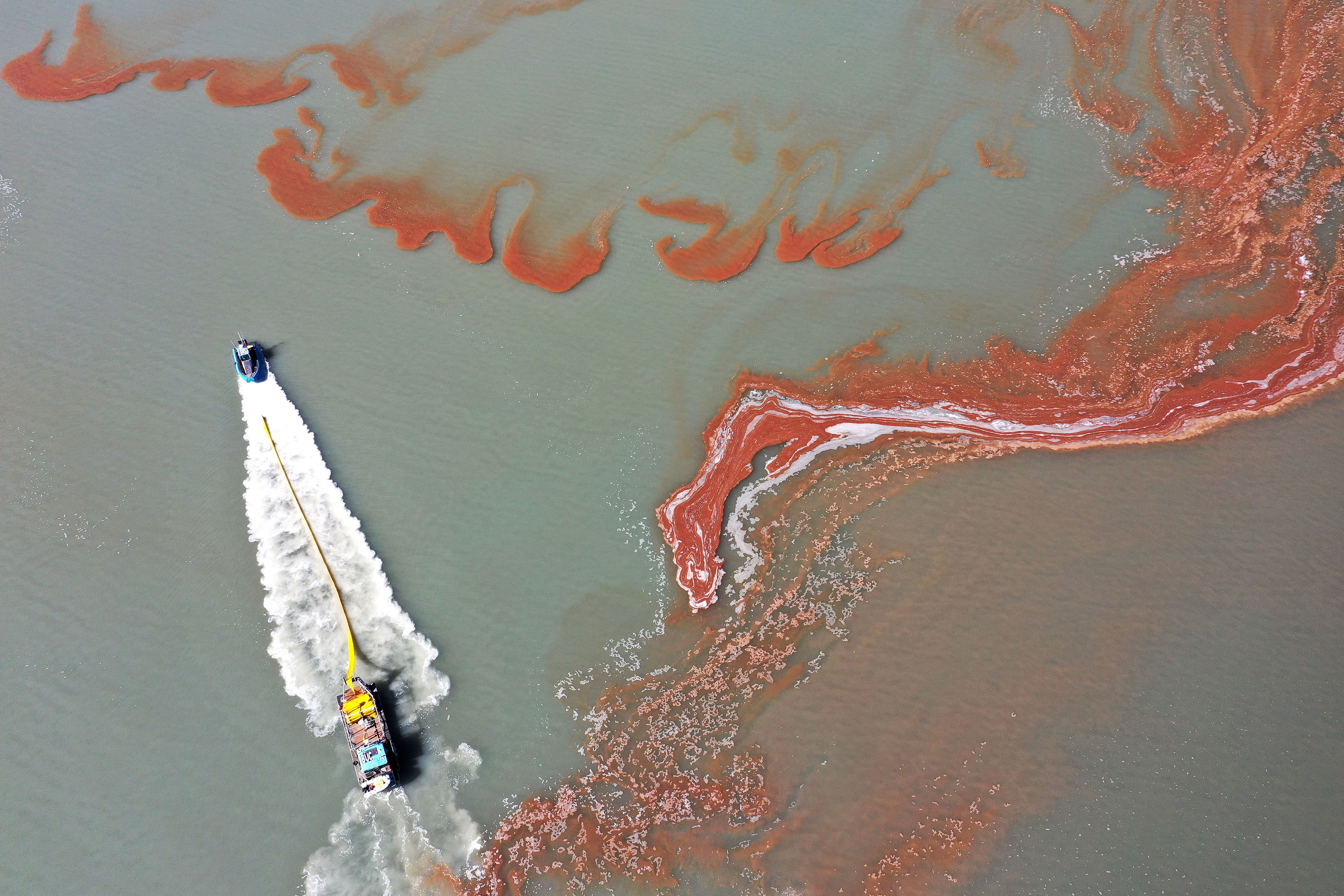 Crews work during the brine shrimp harvest on the Great Salt Lake on Oct. 17, 2023. Brine shrimp production rebounded in 2023 as the southern arm's levels rose and salinity levels dropped.