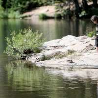 Even as little as 10 minutes in nature can relieve mental illness symptoms, study finds