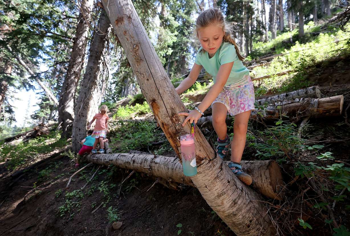 Madelyn Jinks, 7, explores the woods on the Bloods Lake trail in Wasatch County on Thursday.