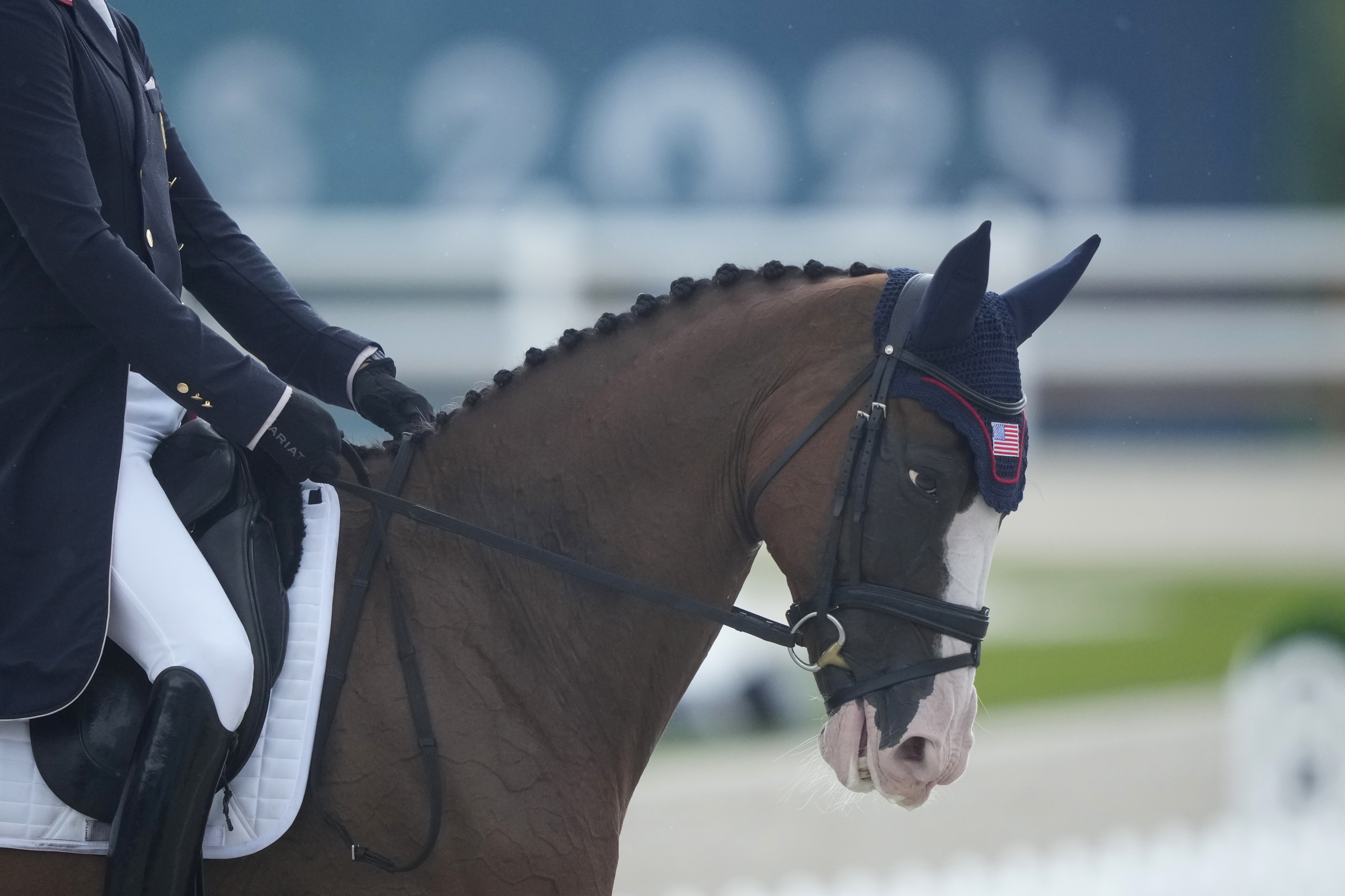 USA's Boyd Martin and his horse Fedarman B during the Equestrian Eventing Dressage competition, at the 2024 Summer Olympics, Saturday, July 27, 2024, in Versailles, France. 