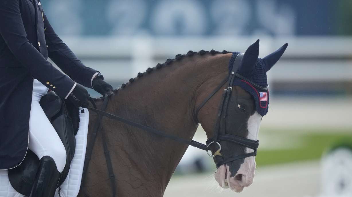 USA's Boyd Martin and his horse Fedarman B during the Equestrian Eventing Dressage competition, at the 2024 Summer Olympics, Saturday, July 27, 2024, in Versailles, France.