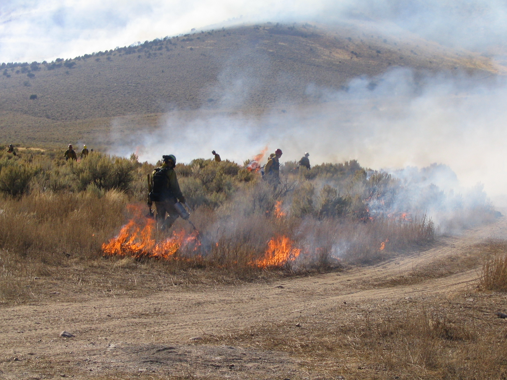 Conservation requires both active and passive land management