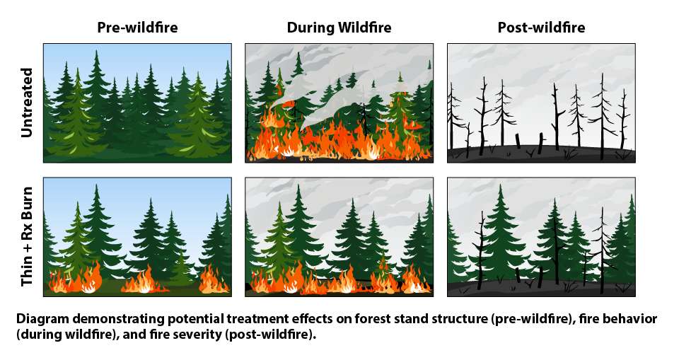 Conservation requires both active and passive land management