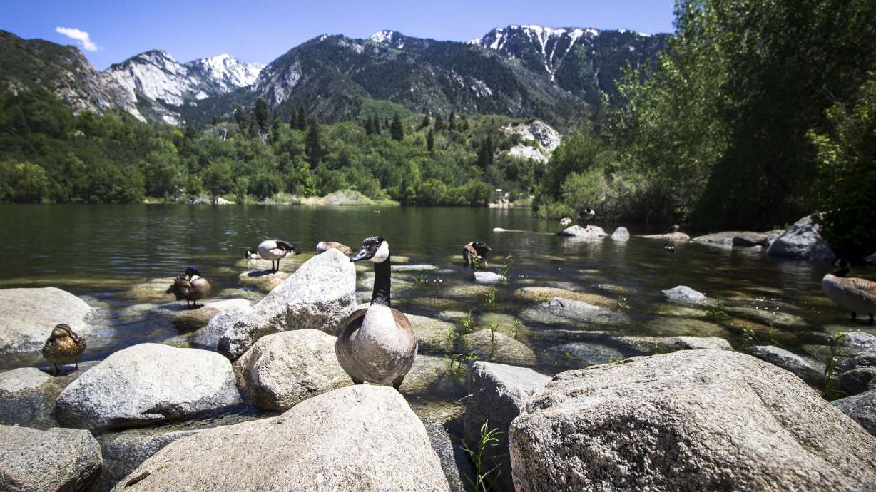 Bell Canyon Reservoir in Sandy is pictured on June 4, 2017. Thursday is "801 Day" along the Wasatch Front, celebrating everything that is within the 801 area code.