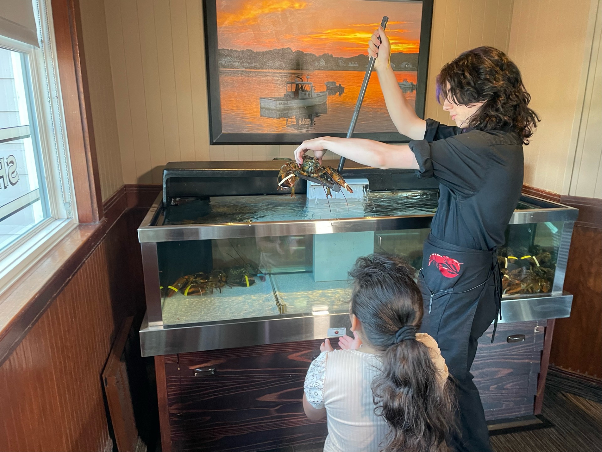 A Red Lobster employee pulls a lobster out of the water on Sunday in Layton.