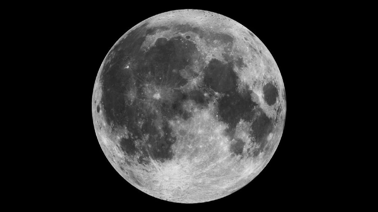 The moon's polar regions are home to craters that are easily cold enough to enable passive cryopreservation.