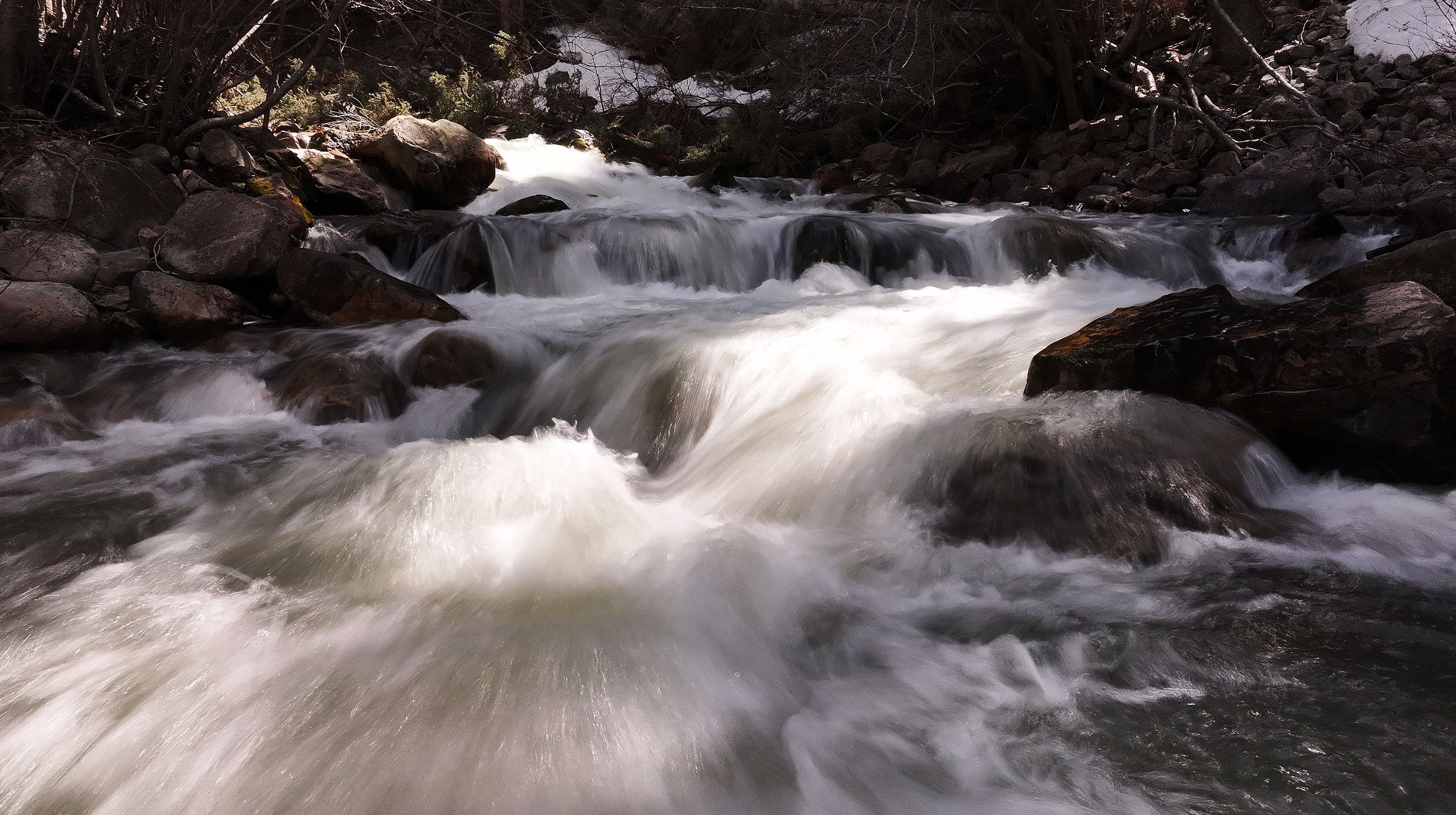 Water rushes in Big Cottonwood Creek in Big Cottonwood Canyon on April 16. Salt Lake County environmental health officials believe low water-oxygen levels might be behind a noticeable uptick in fish deaths in the creek.