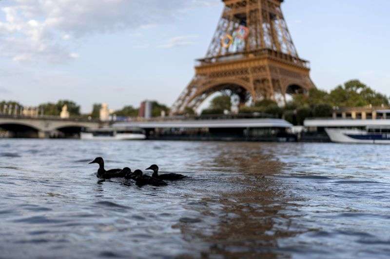 Ducks swim along the Seine River in front of the Eiffel Tower during the 2024 Summer Olympics, July 29 in Paris. As the Olympics continue in Paris, the Seine River's water quality remains a major area of concern for officials.