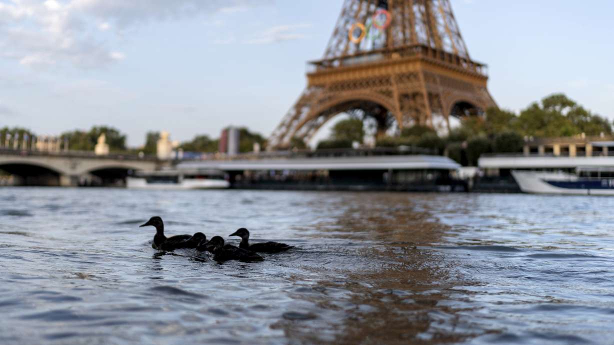 Ducks swim along the Seine River in front of the Eiffel Tower during the 2024 Summer Olympics, Monday, July 29, 2024, in Paris. As the Olympics continue in Paris, the Seine River's water quality remains a major area of concern for officials. Organizers of the triathlon event cancelled swimming practice on Monday for the second day in a row because of poor water quality. Event organizers hope sunny weather will make swimming viable on Tuesday when the triathlon begins.