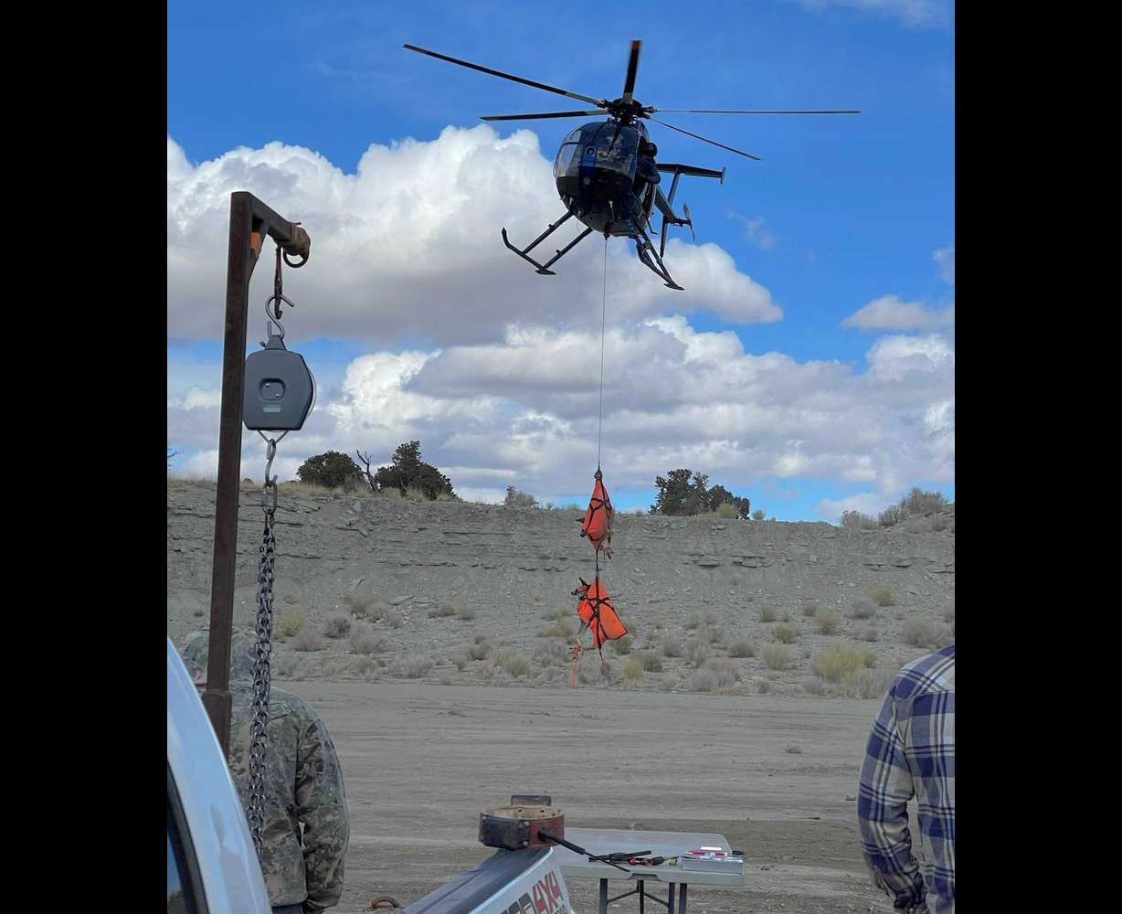 The missing link in Utah deer habitat: Saving forests without fire