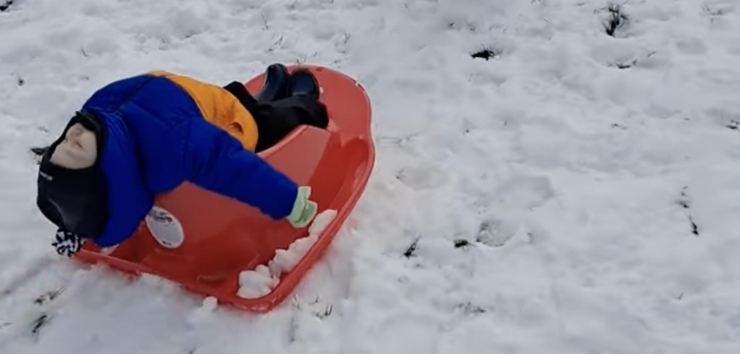 Have You Seen This? Super sleepy baby goes sledding