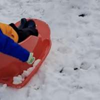 Have You Seen This? Super sleepy baby goes sledding