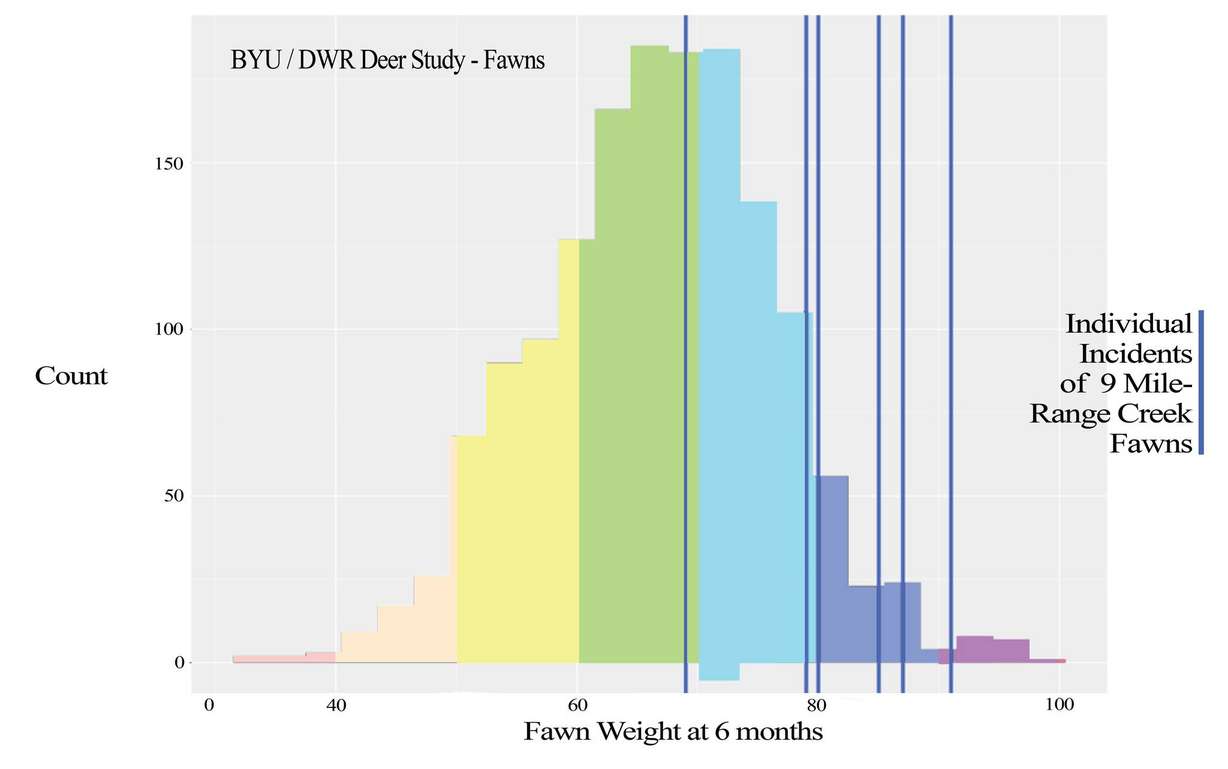 The missing link in Utah deer habitat: Saving forests without fire